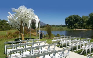 Wimbledon Chairs for Hire in Cape Town