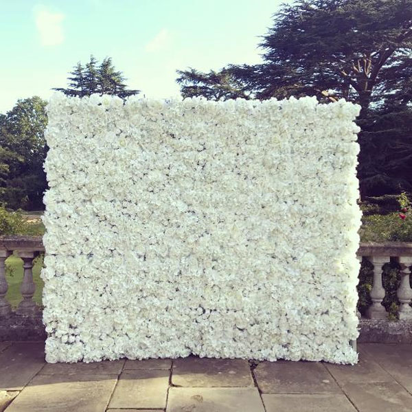 Wedding Flower Wall for Hire in Cape Town