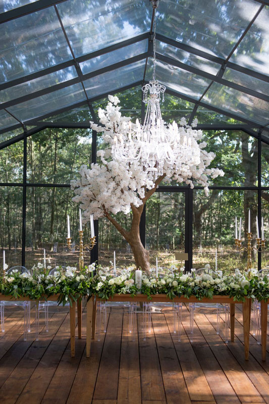 Giant Blossom Tree for Hire in Cape Town