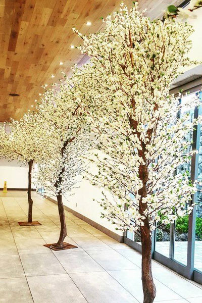 Cherry Blossom Tree Arch for Hire in Cape Town
