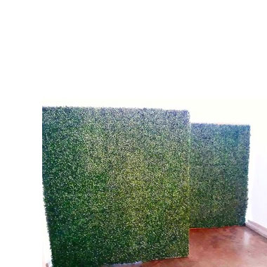 Green Plant Wall  - <p style='text-align: center;'>R 800</p>