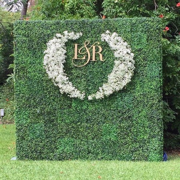 Wedding Ivy Plant Wall for Hire in Cape Town