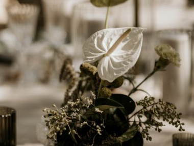 Muse-Decor-Ethereal-Evergreen-010-th.jpg