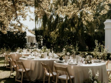 Muse-Decor-Ethereal-Evergreen-026-th.jpg
