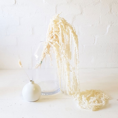 The-Bohemian-collection-of-flower-vases-Muse-decor-hire--th.jpg