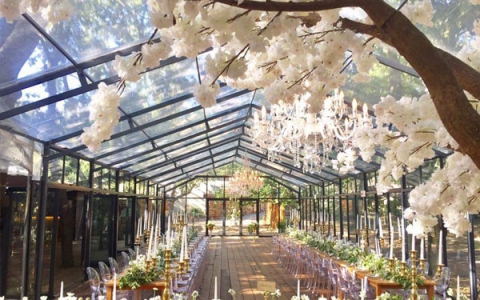cherry-blossom-trees-3-detail-th.jpg