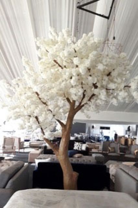 giant-blossom-tree-6-th.jpg