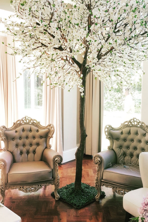 giant-blossom-tree-7-th.jpg