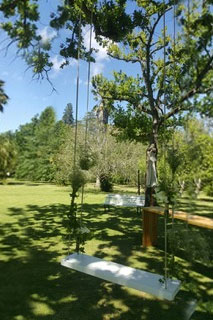 swing-4.jpg