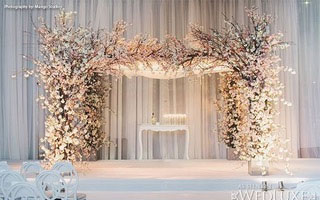 tree-peach-blossom-arch-2.jpg